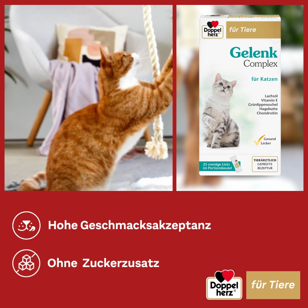 Doppelherz Gelenk Complex für Katzen_5