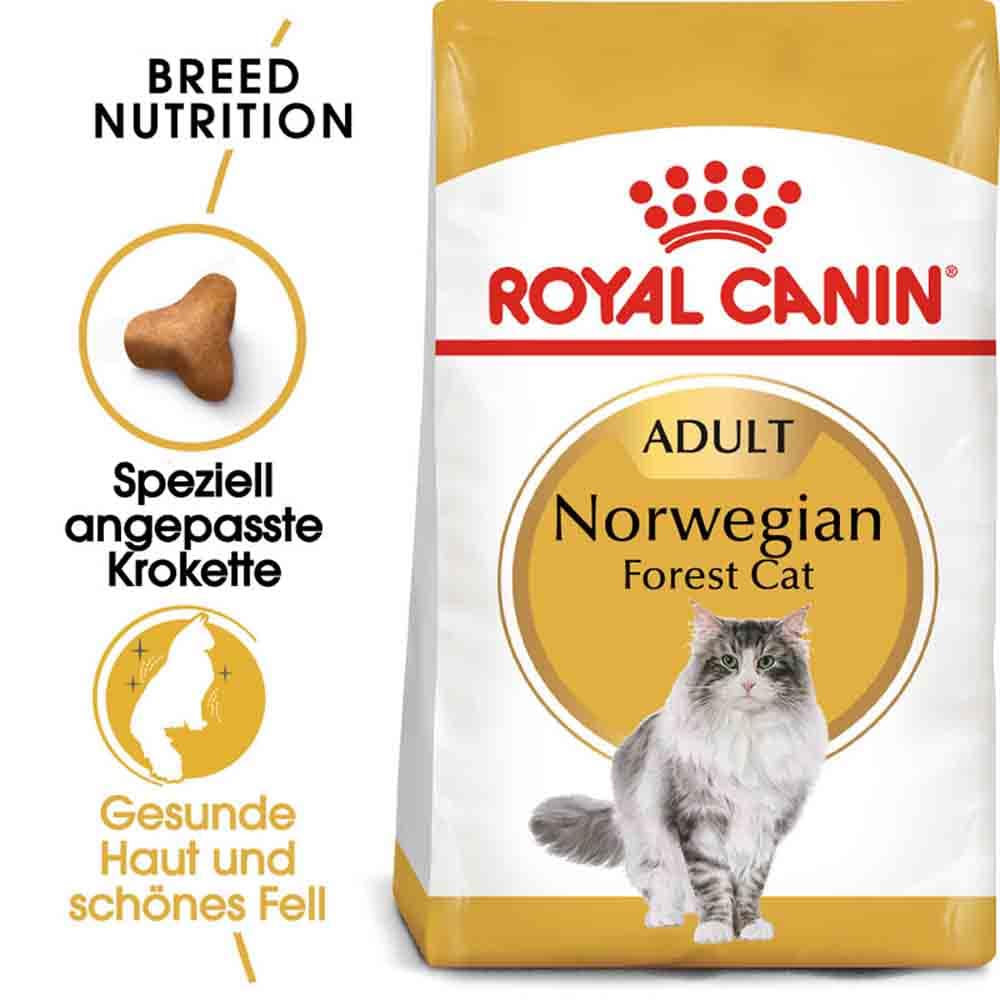 Royal Canin Norwegian Forest Cat Adult Trockenfutter für Norwegische Waldkatzen_0