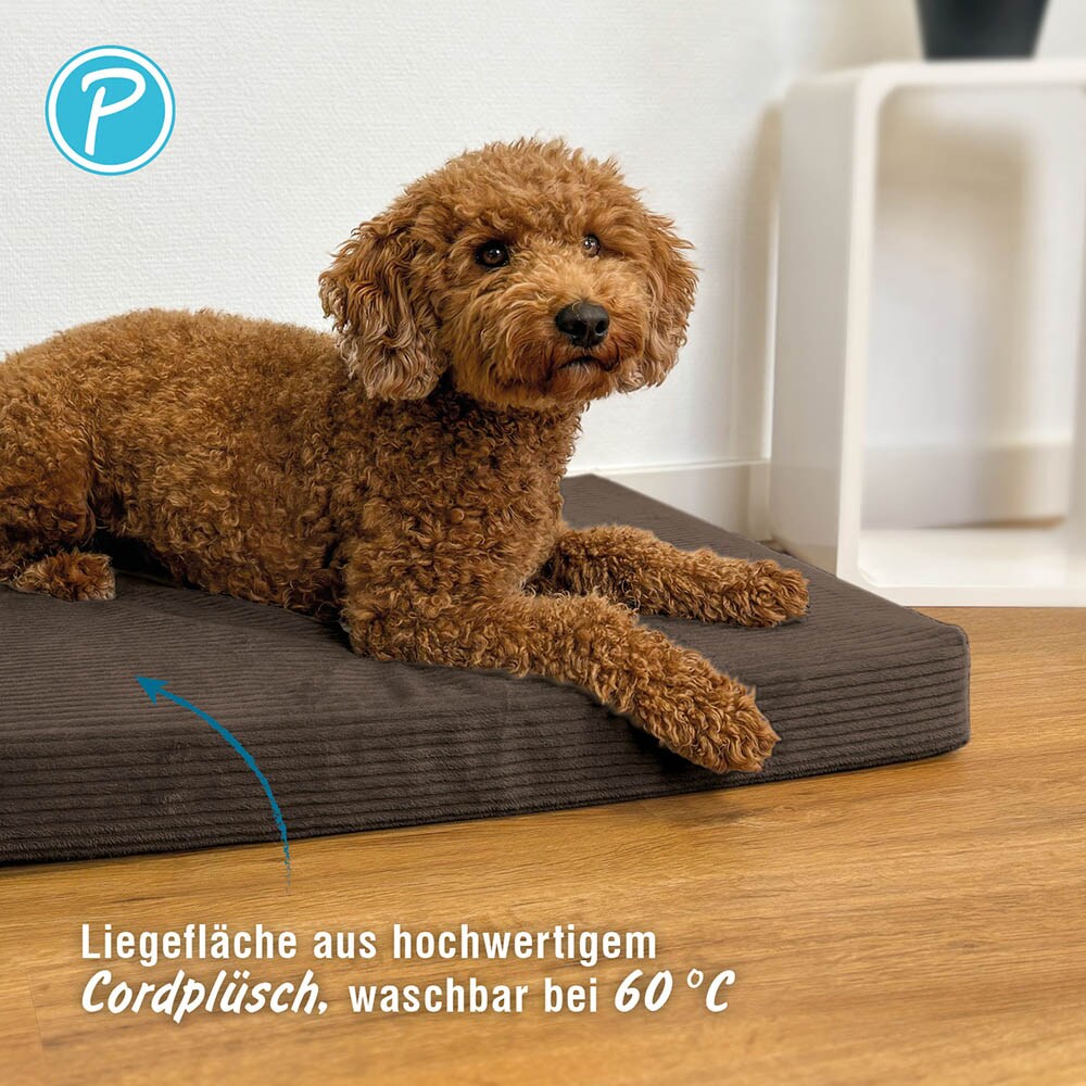 Petlando Like Ortho Matte Luke braun_2