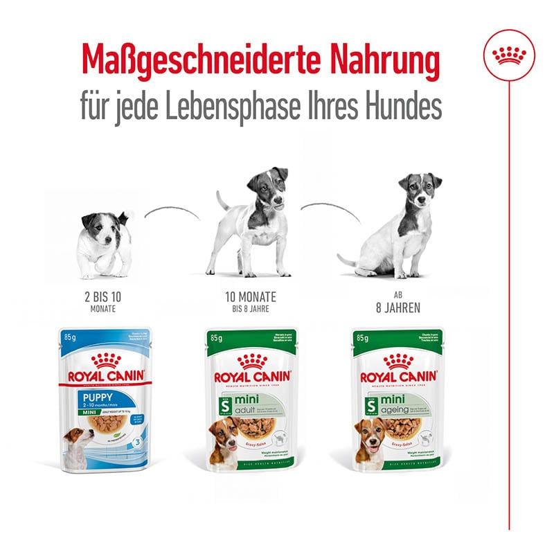 Royal Canin Mini Adult Feuchtnahrung als Häppchen in Soße (>10. Lebensmonat)_3