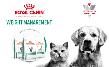 Royal Canin Weight Management