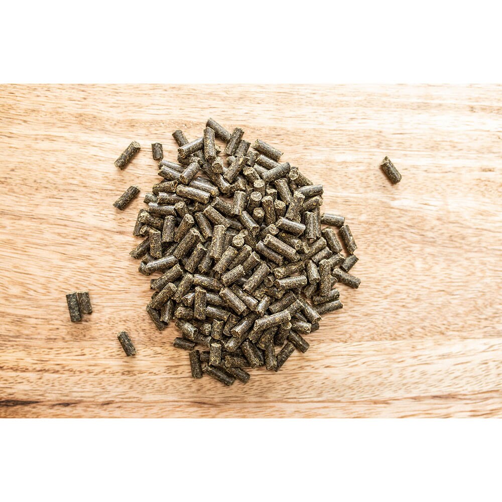 St. Hippolyt Ungulat Hufkur_2