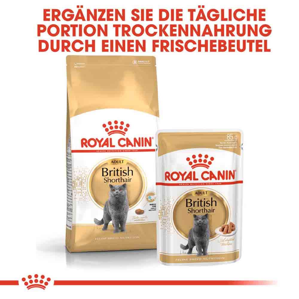 Royal Canin British Shorthair Adult Katzenfutter nass für Britisch Kurzhaar_6