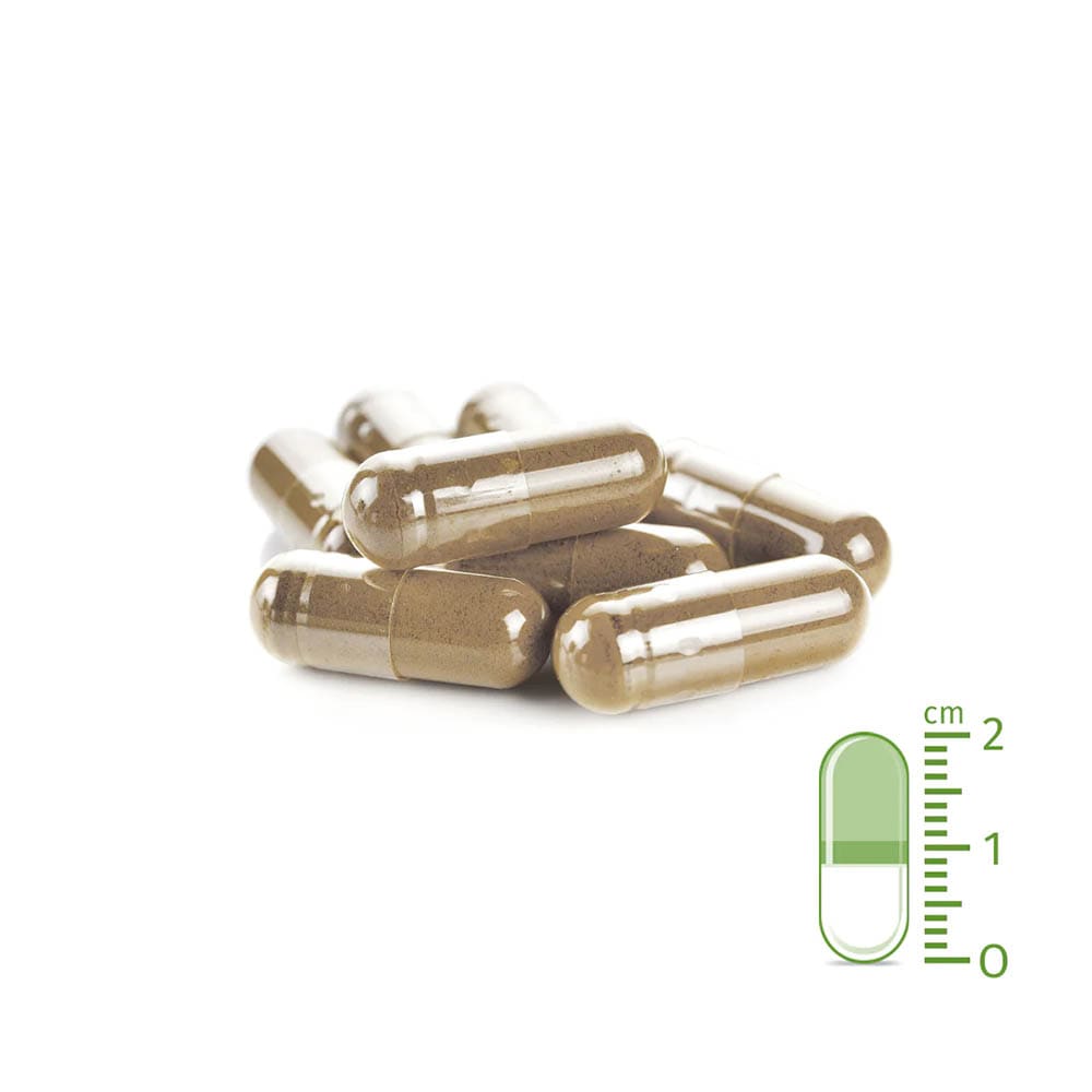 AniForte WermiX Kapseln für Hunde_1