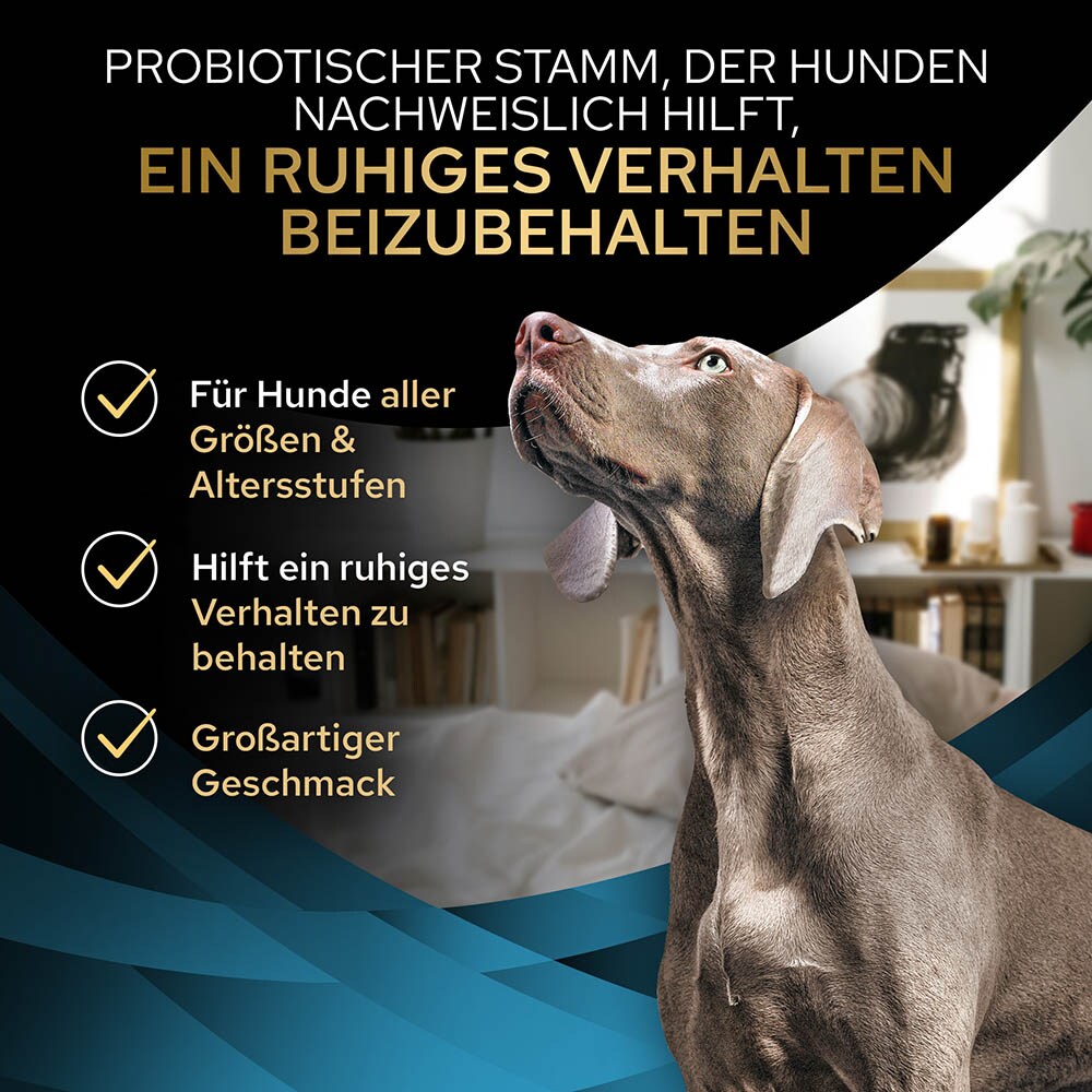 Purina Pro Plan Calming Care_2