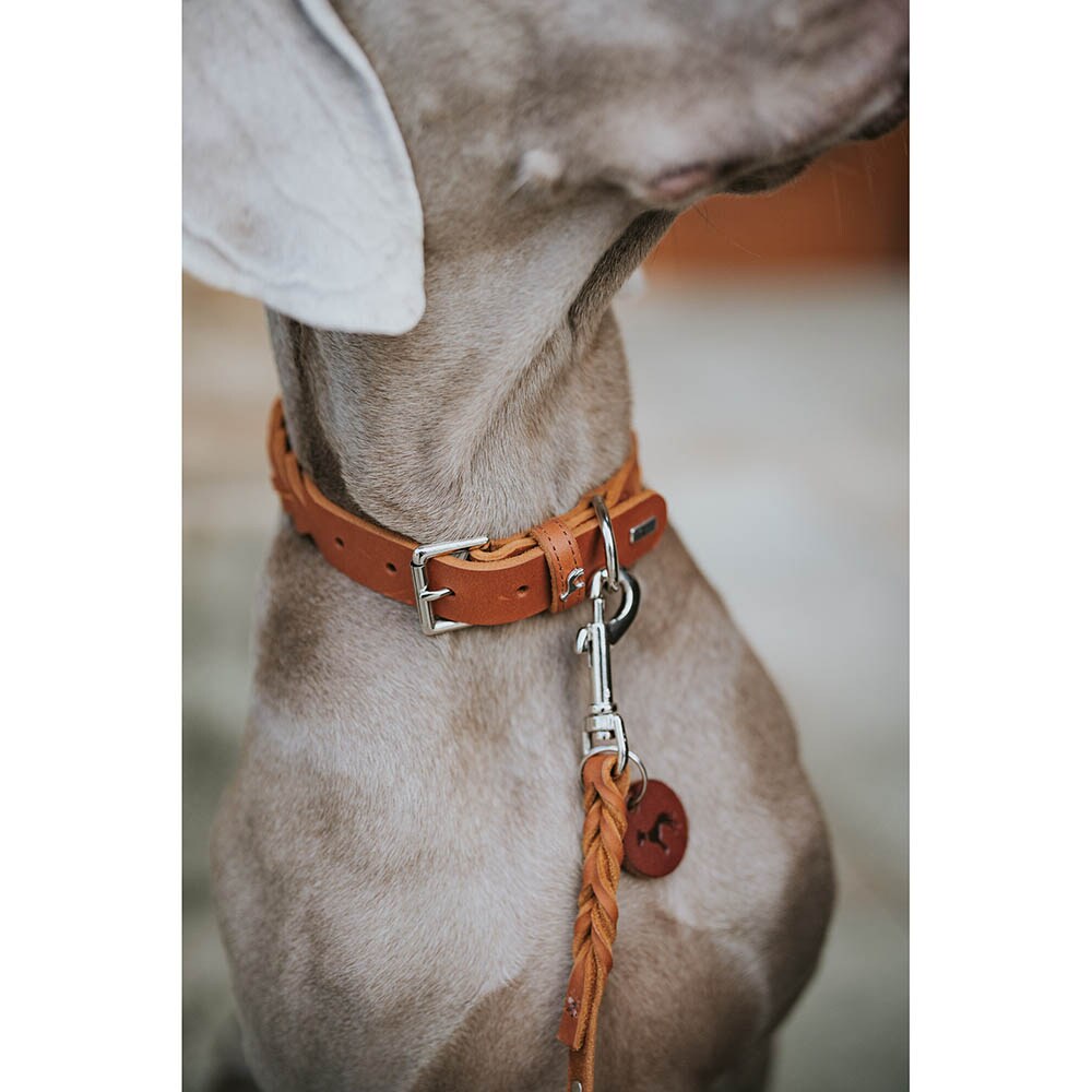 Hunter Halsband Solid Education Special cognac_4