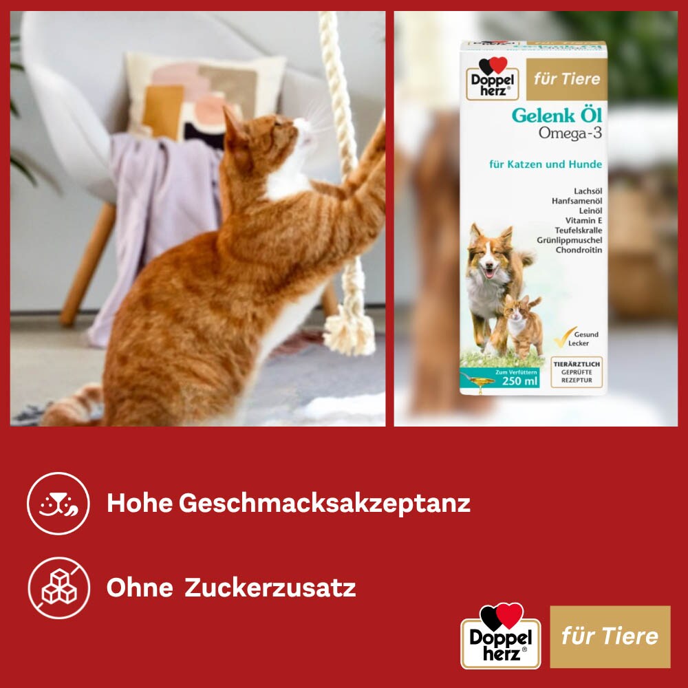 Doppelherz Gelenk Öl für Hunde und Katzen_5