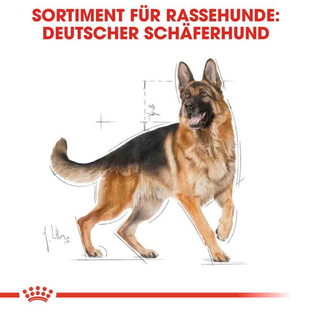 Royal Canin German Shepherd Adult Hundefutter trocken_2