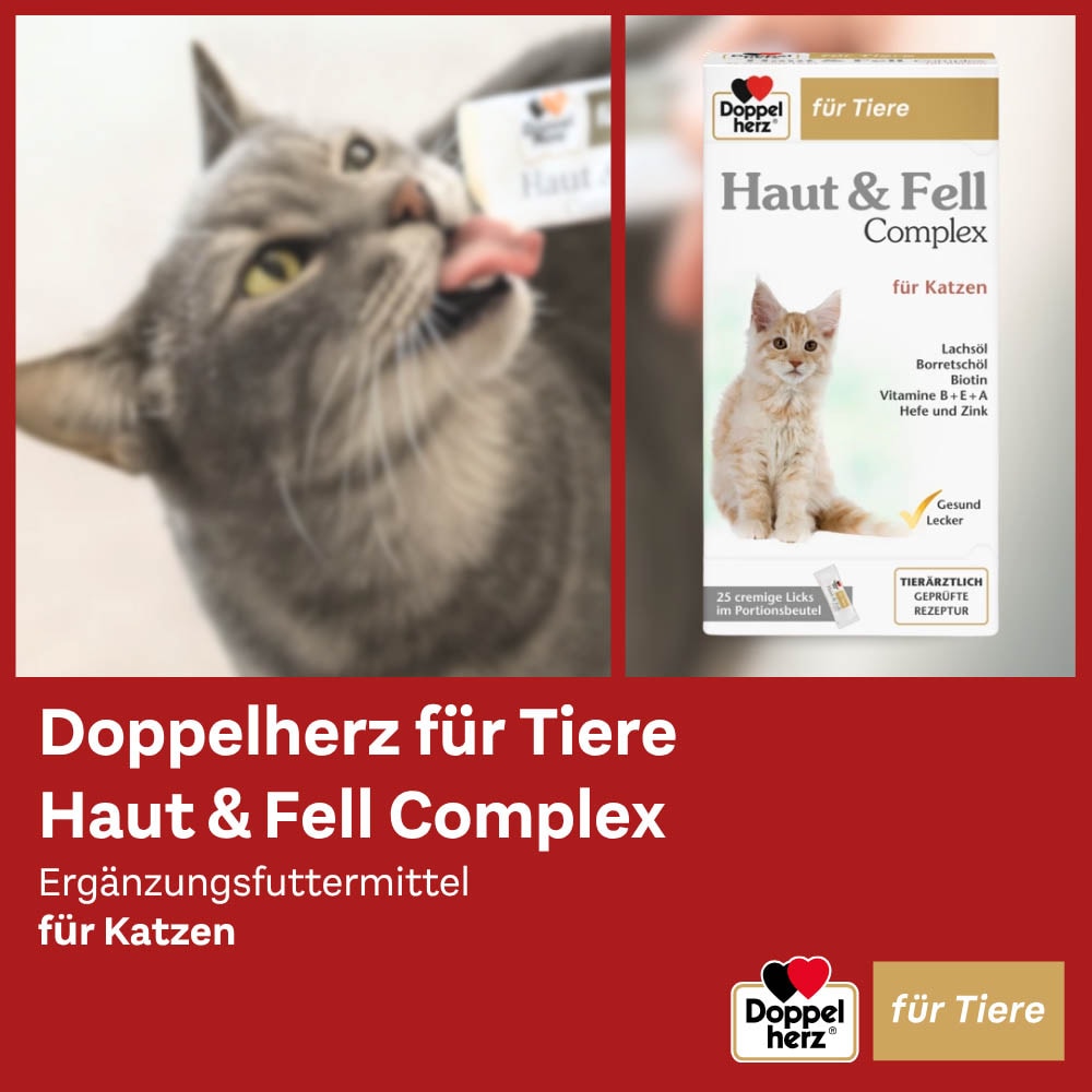 Doppelherz Haut und Fell Complex für Katzen_3