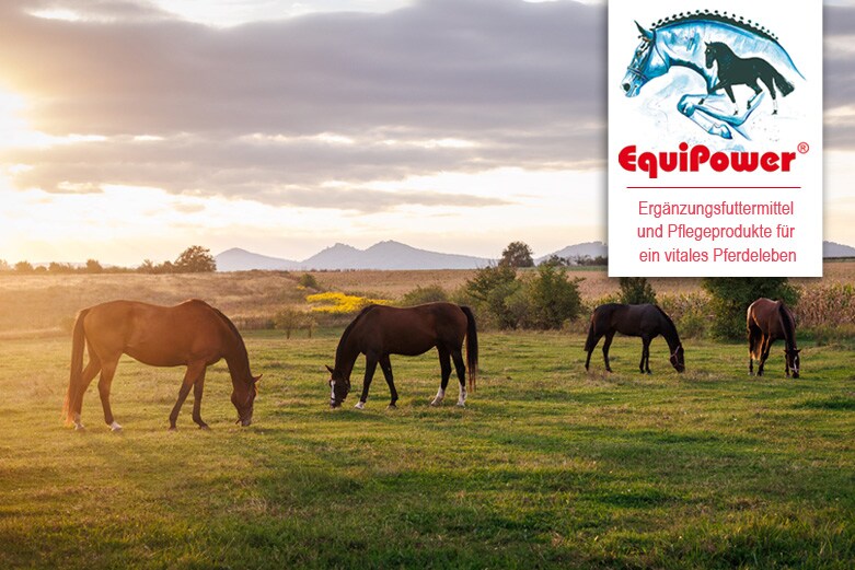 Equipower Equipower
