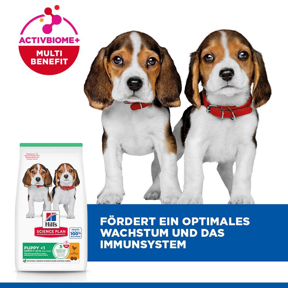 Hills Science Plan Puppy Medium mit Huhn Trockenfutter_5