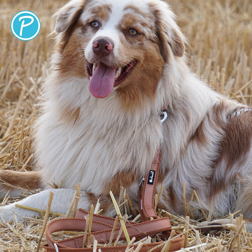 Petlando Mesh verstellbare Führleine cognac_3