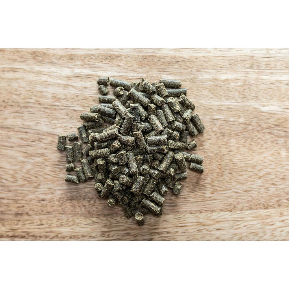 St. Hippolyt Movicur_2