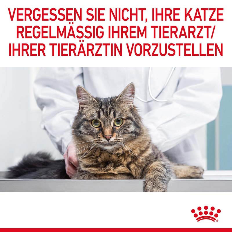 Royal Canin Urinary Care Nassfutter für Katzen in Gelee zur Unterstützung der Harnwege_7