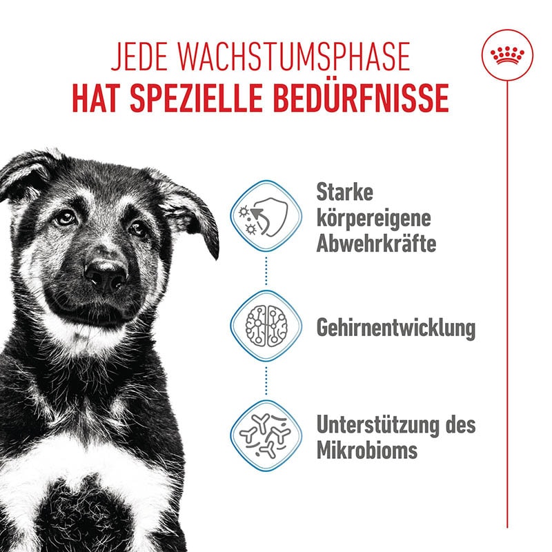 Royal Canin Maxi Puppy Trockenfutter für Welpen großer Rassen_1