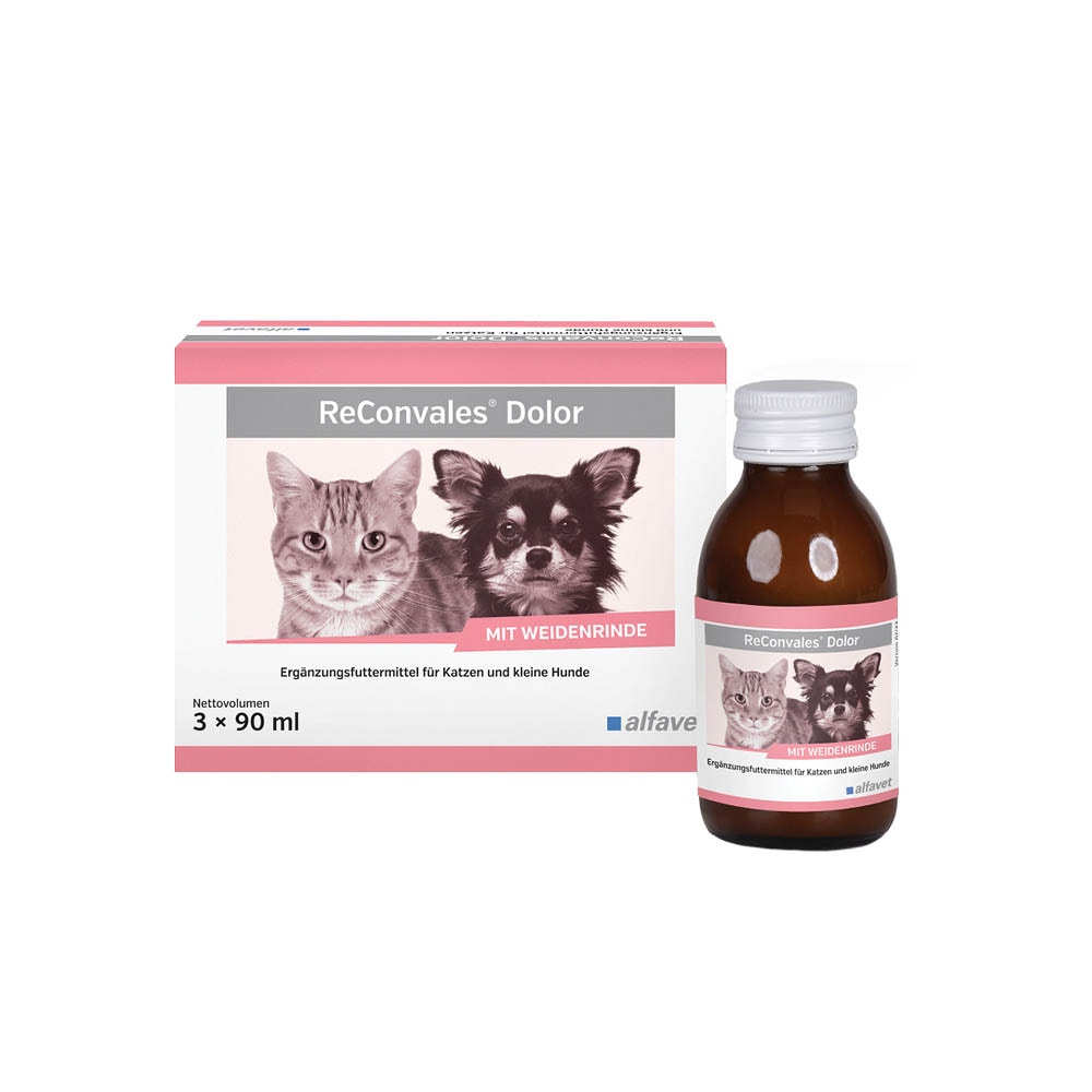 Alfavet ReConvales Dolor_0