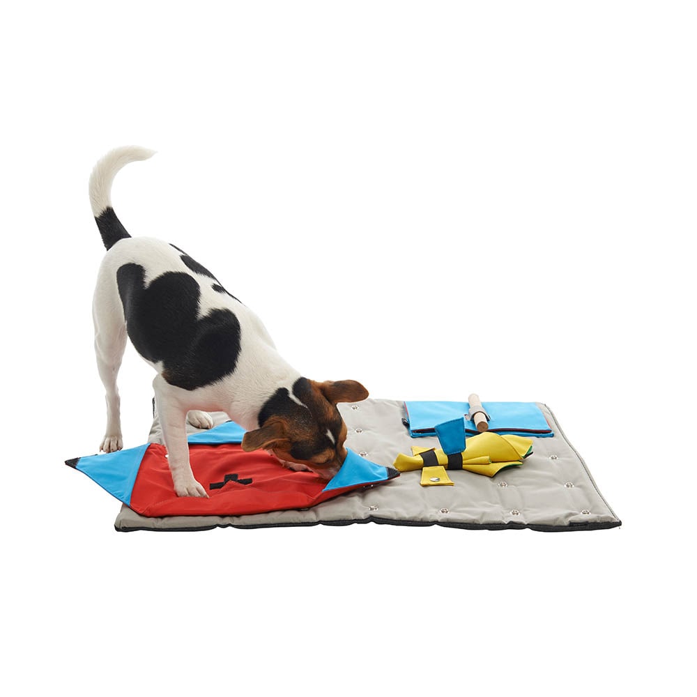 Kruuse Buster ActivityMat Starter Set_1