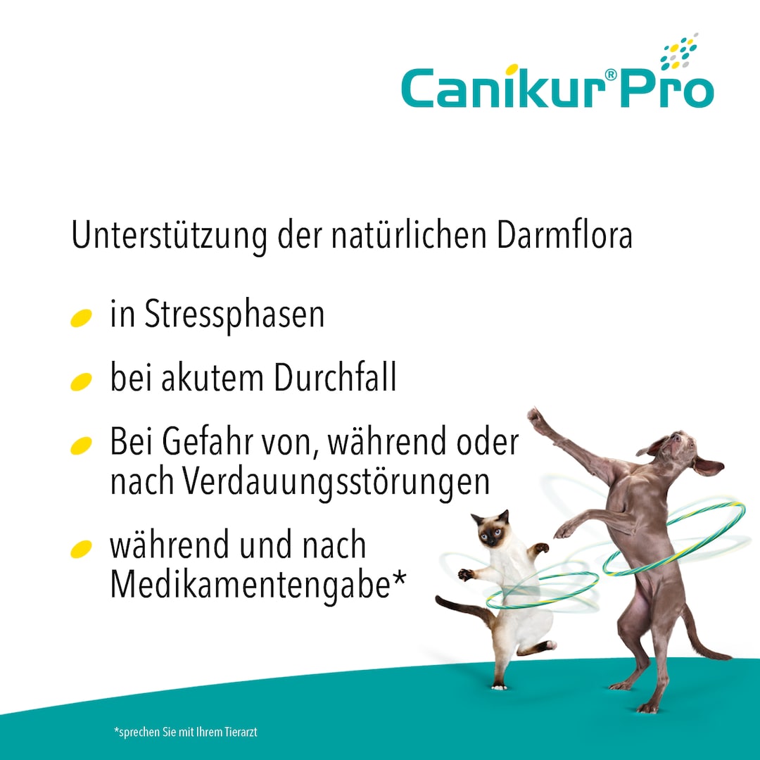 Boehringer Ingelheim Canikur Pro_1