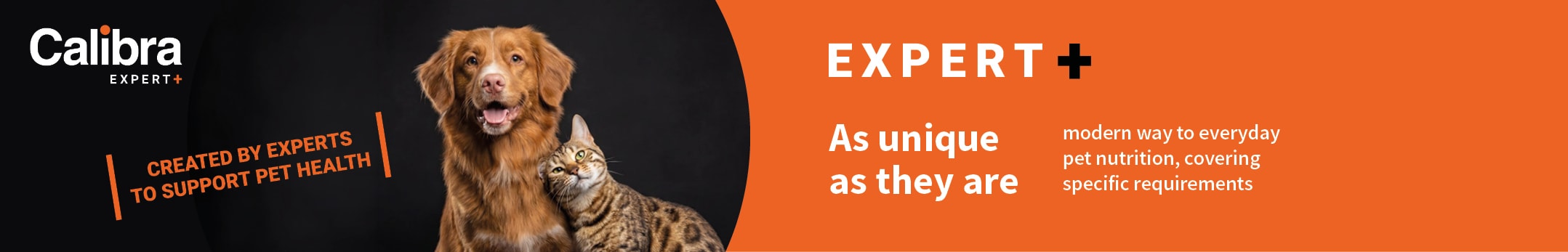 Expert+
