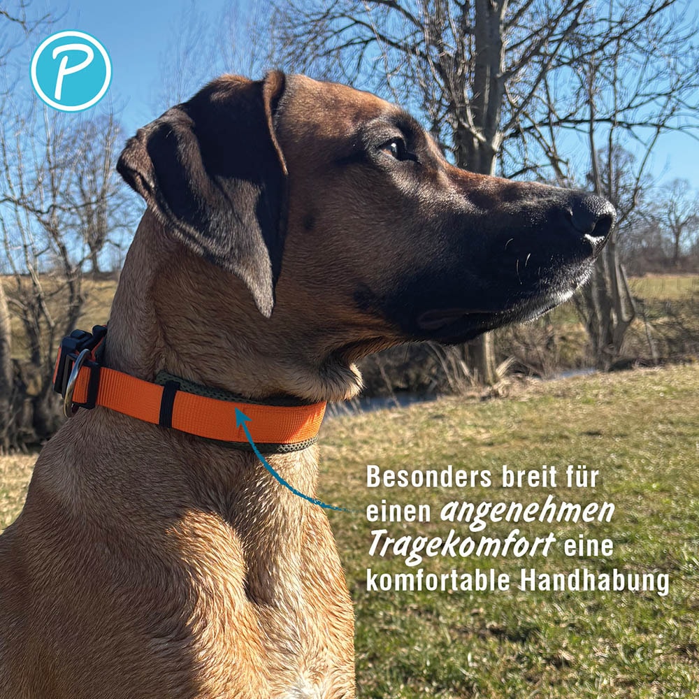 Petlando Magnetech Halsband olive/orange_3