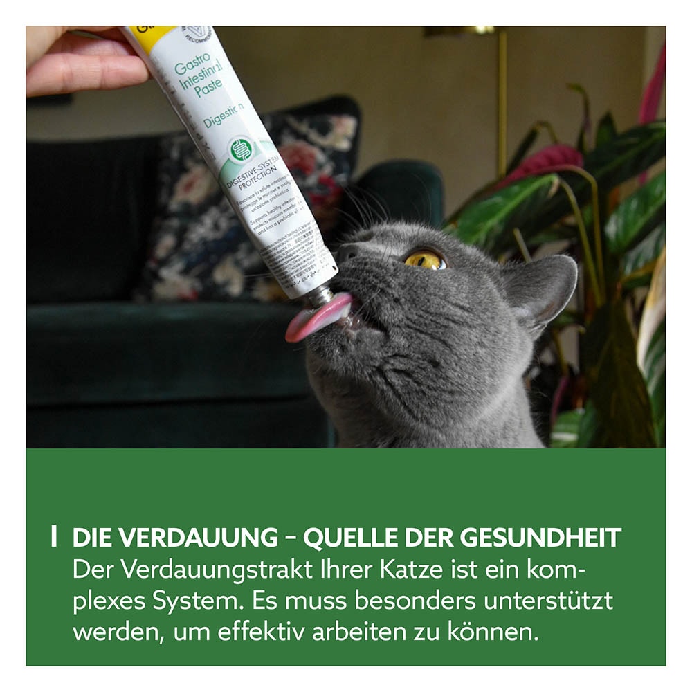 GimCat Gastro Intestinal Paste_2