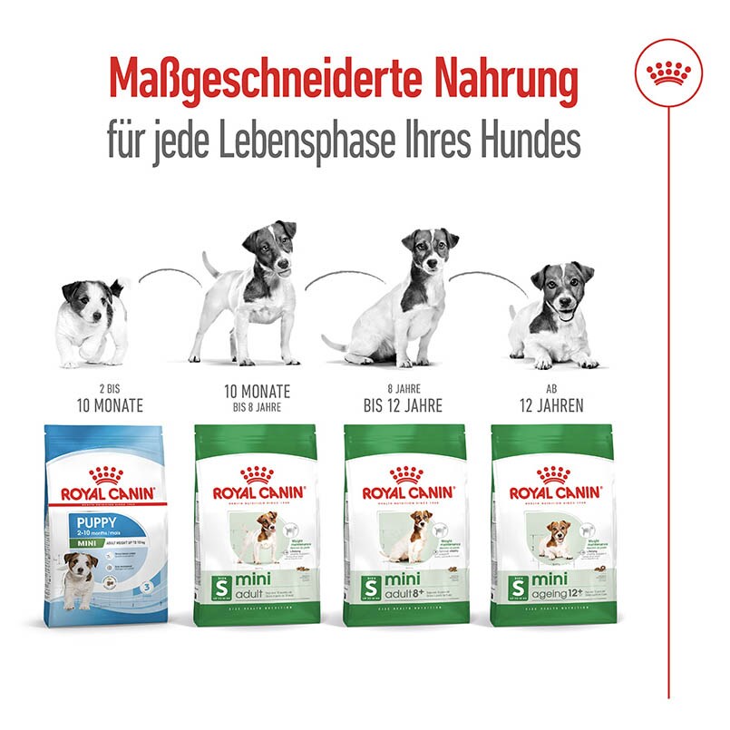 Royal Canin Mini Adult 8+ Trockenfutter für ältere kleine Hunde_5