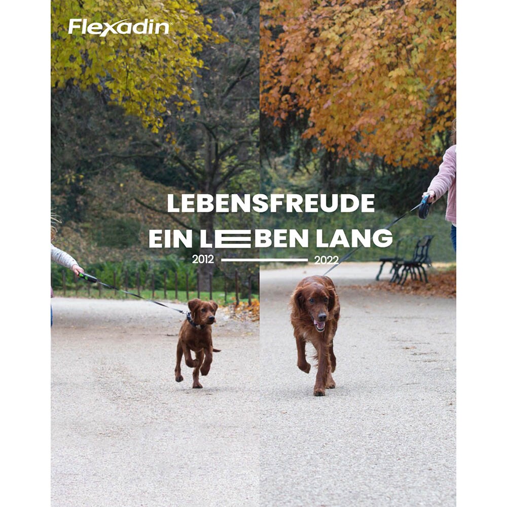 Vetoquinol Flexadin Young Dog Mini_5
