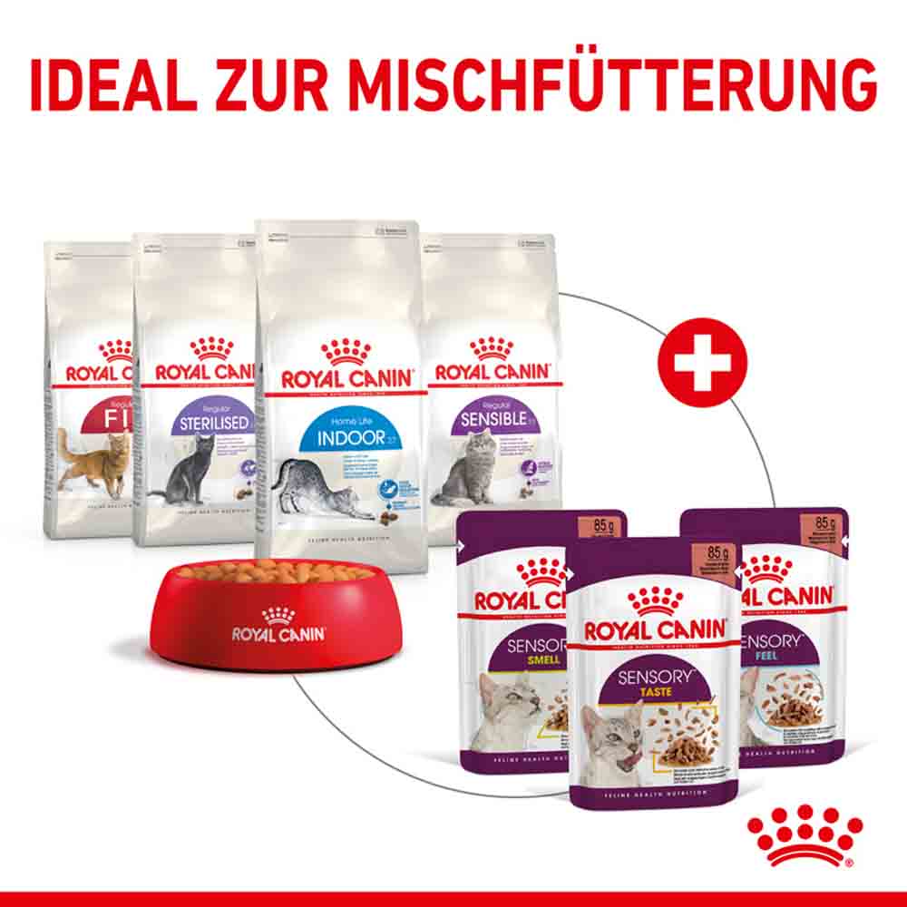 Royal Canin Sensory Smell Taste Feel Nassfutter Multipack in Soße für wählerische Katzen_6