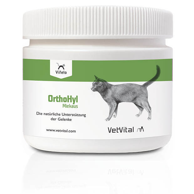 VetVital Vifelo OrthoHyl Miekaus_0