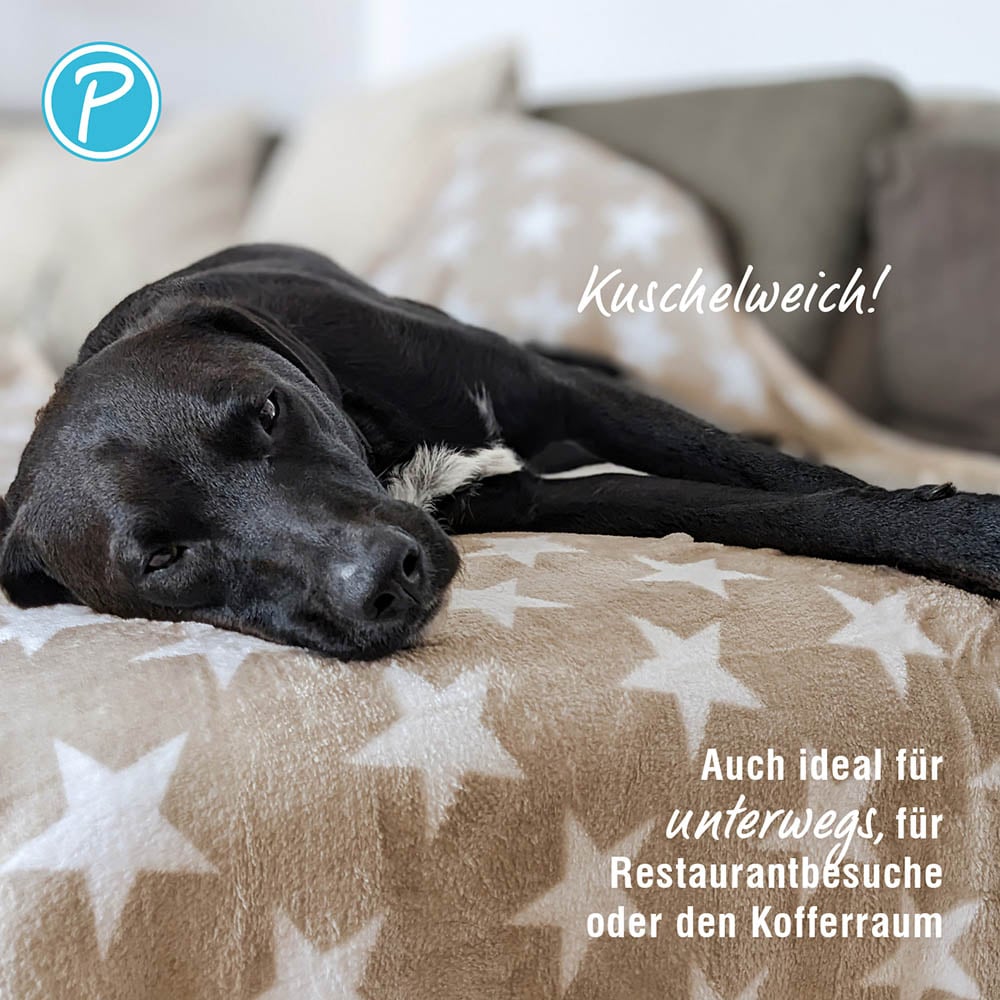 Petlando Kuscheldecke Stars beige_2