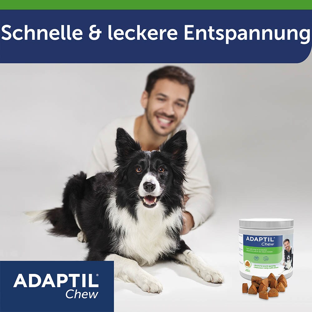 Adaptil Chew_5