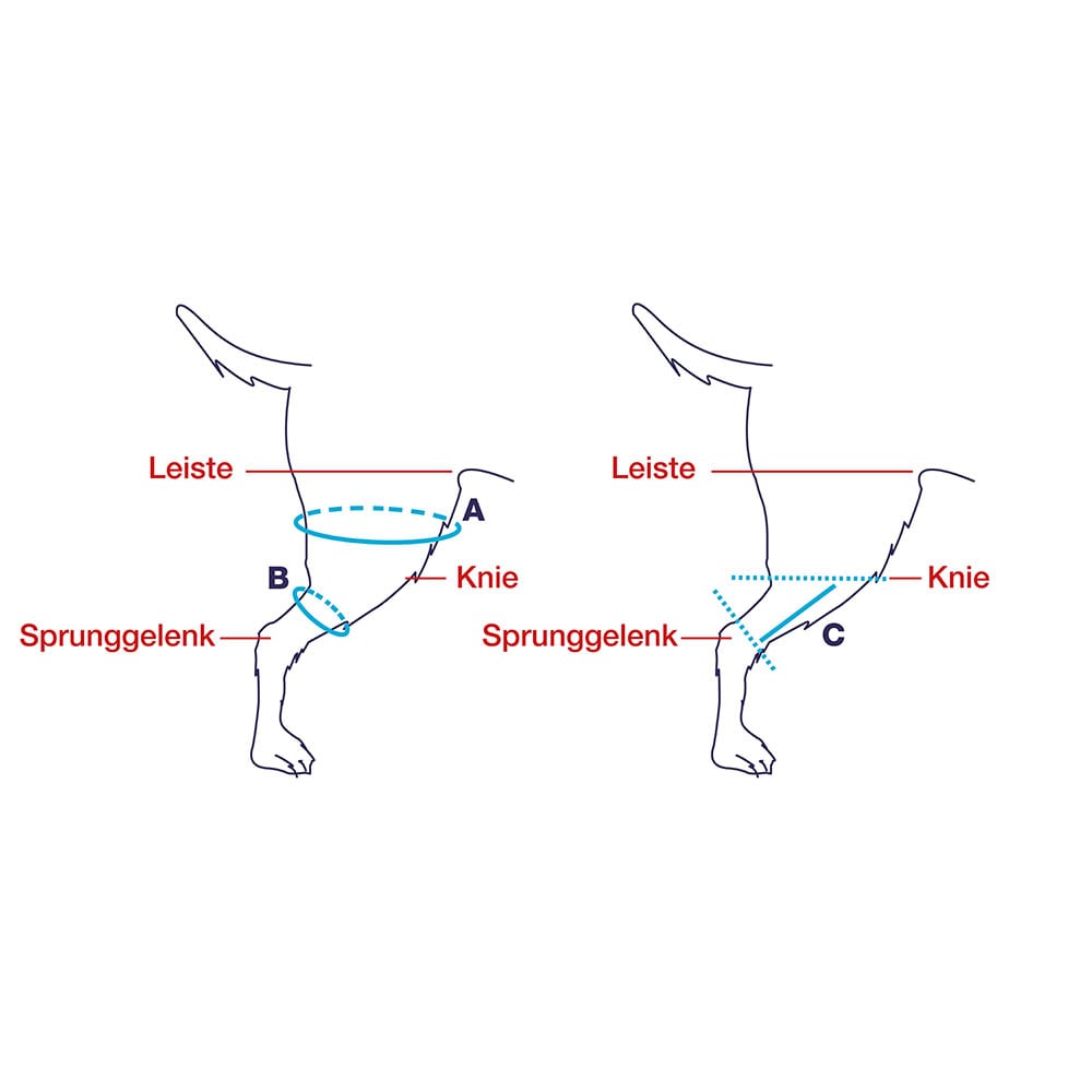 Balto Rehab Knie-Orthese Ligatek links_1
