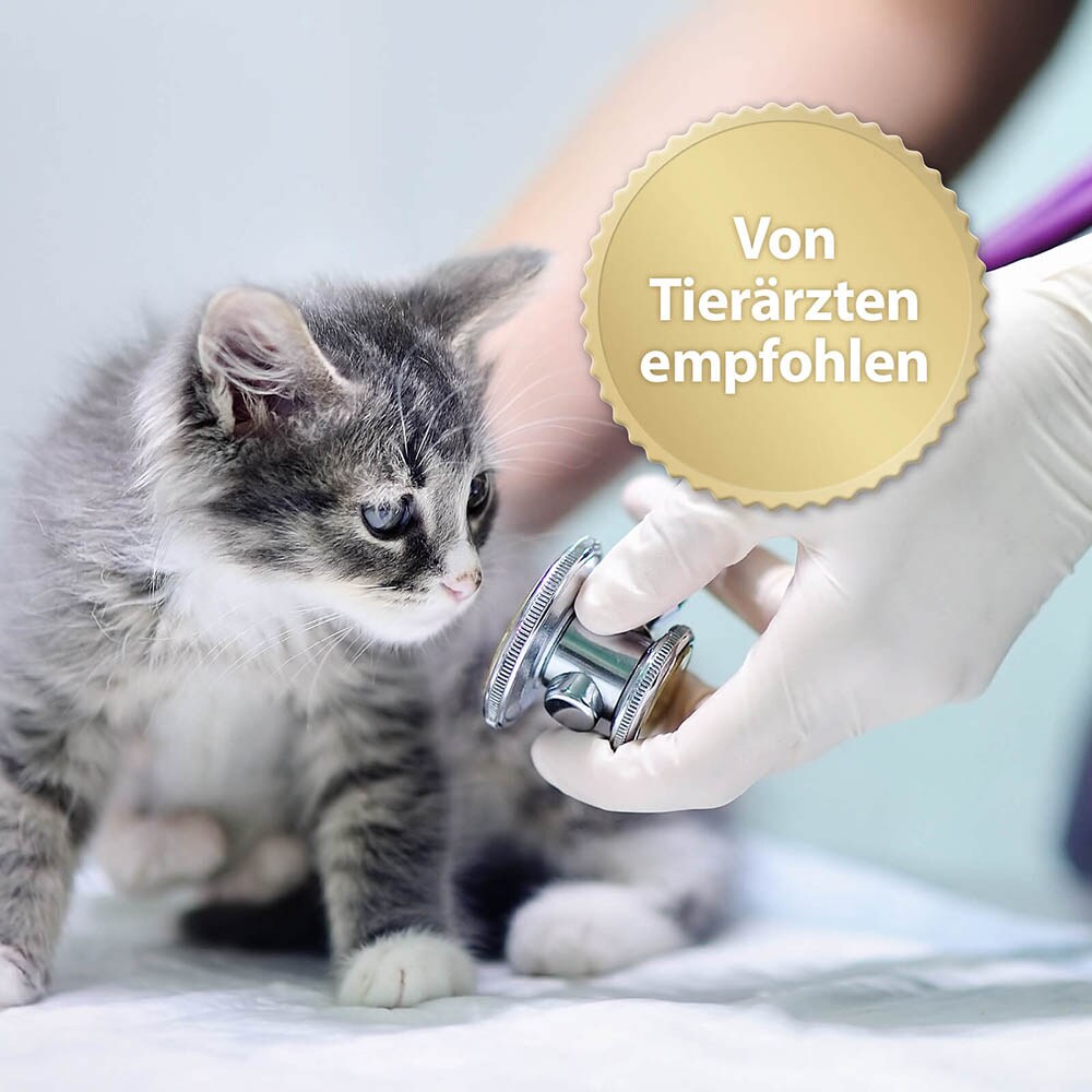 Felisept Home Comfort Nachfüll-Flakon für Katzen_3