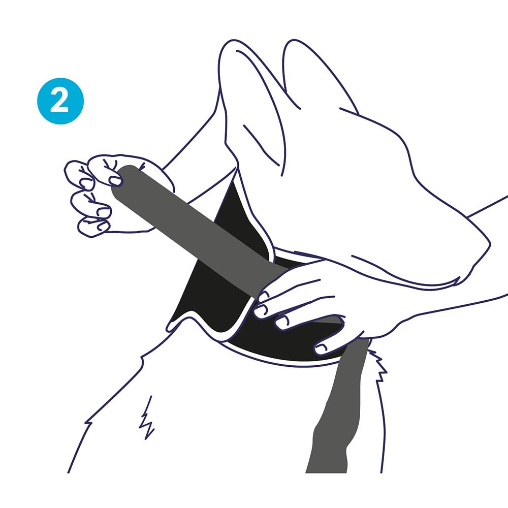 Balto Halsmanschette BT Neck Eco _2