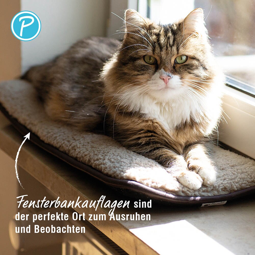 Petlando Windowchiller_7