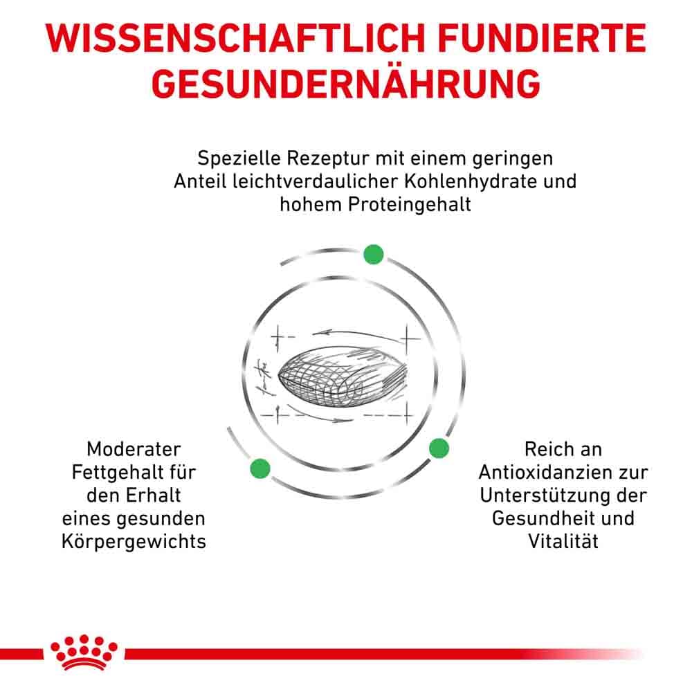 Royal Canin Veterinary Diabetic Trockenfutter für Hunde_2