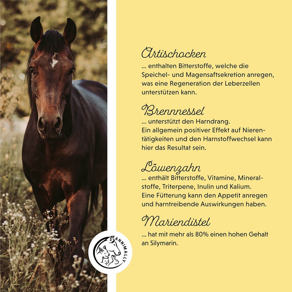 Annimally Leber-Nieren Liquid_3