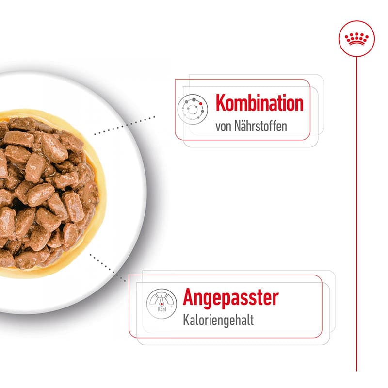 Royal Canin Mini Ageing Feuchtnahrung als Stückchen in Soße (>8. Lebensjahr)_2