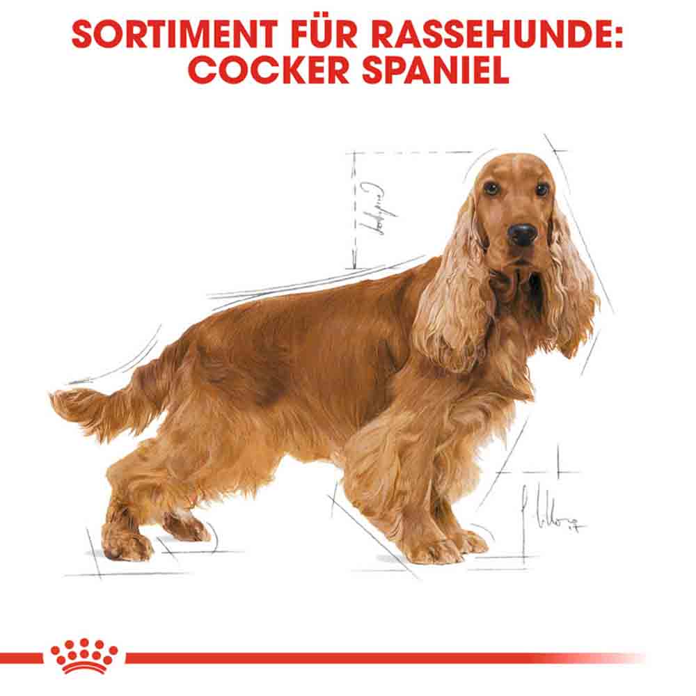 Royal Canin Cocker Adult Hundefutter trocken_2