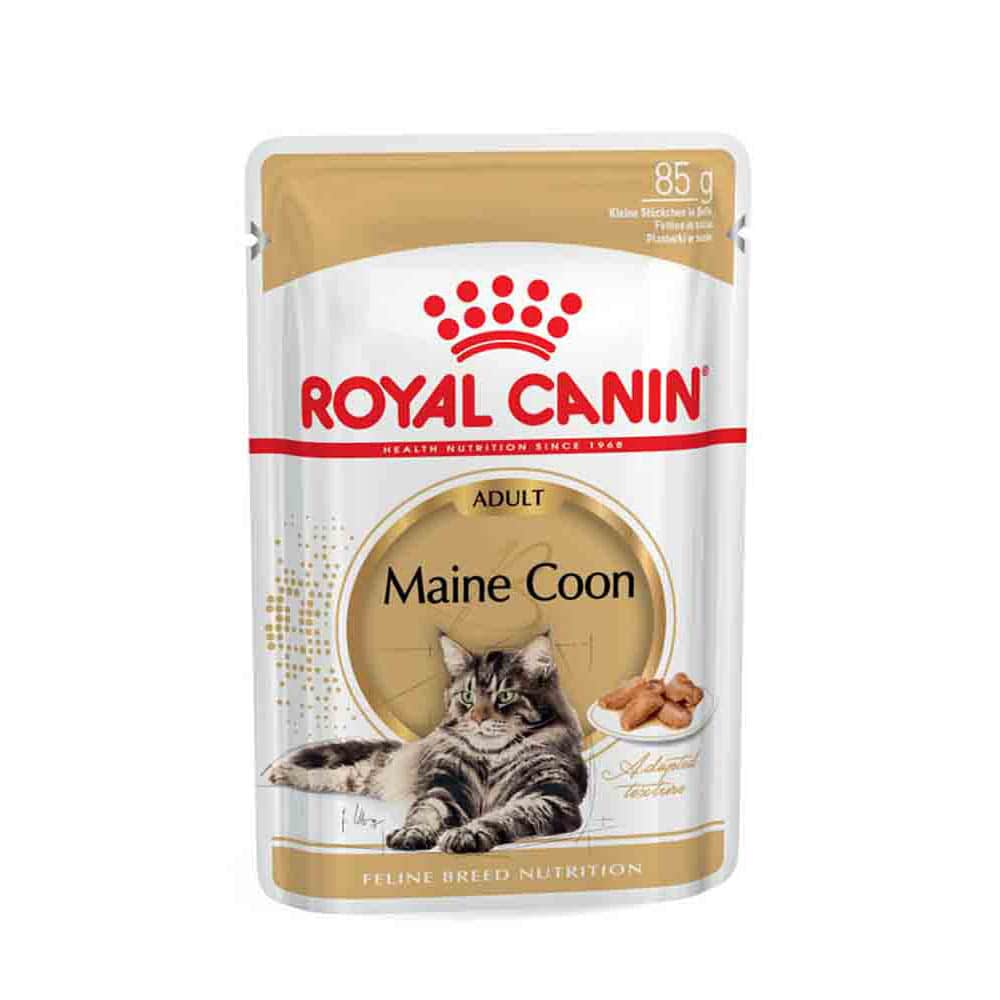 Royal Canin Maine Coon Adult Katzenfutter nass_1