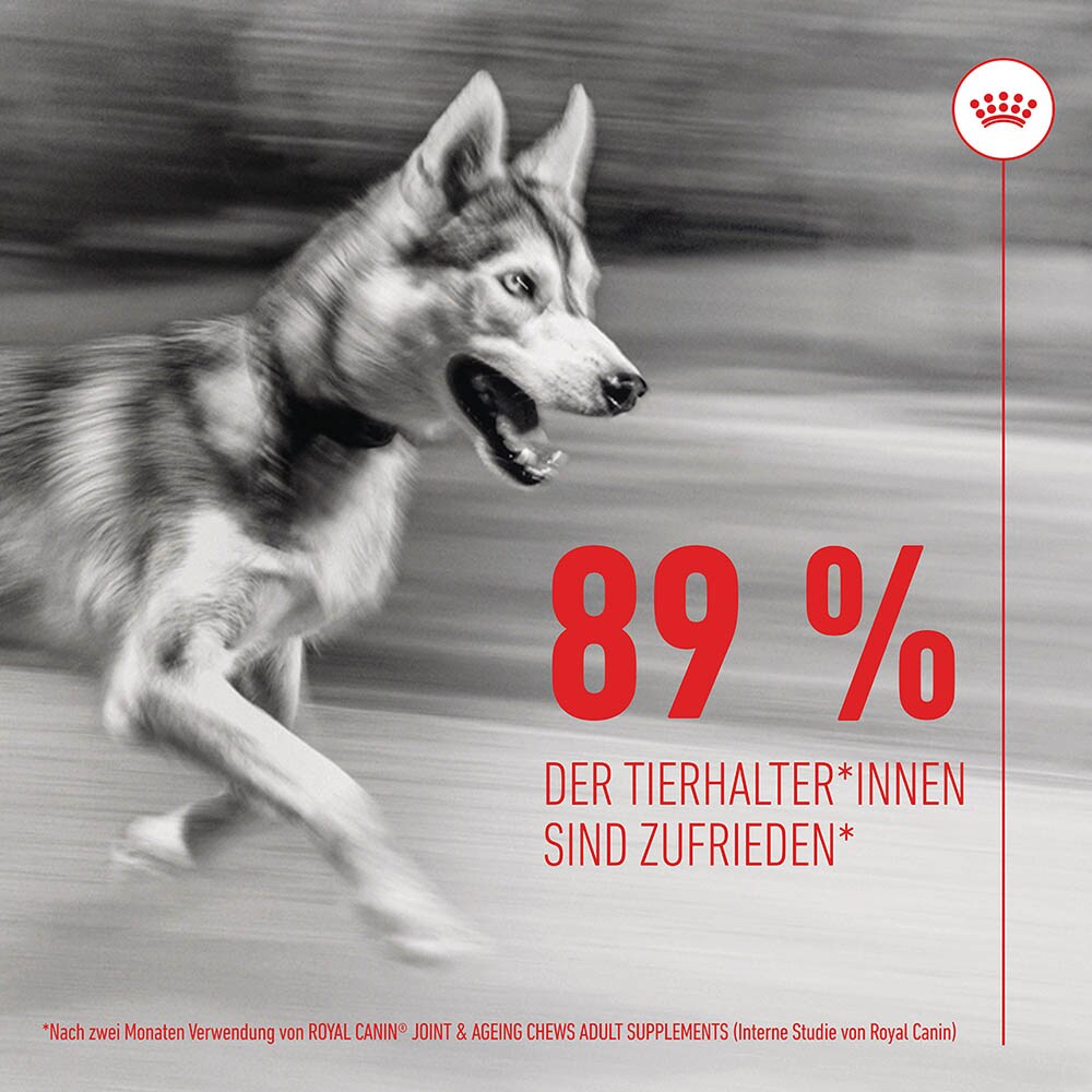 Royal Canin Joint & Ageing Chews Adult Supplements_7