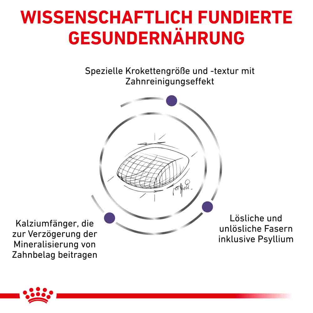 Royal Canin Expert Dental Trockenfutter für Katzen_3