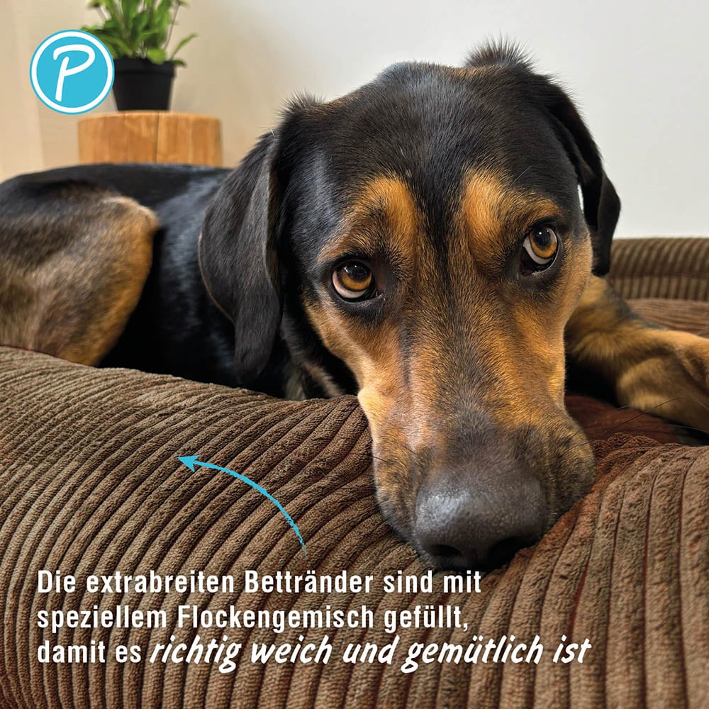 Petlando Like Ortho Bett Luke braun_3