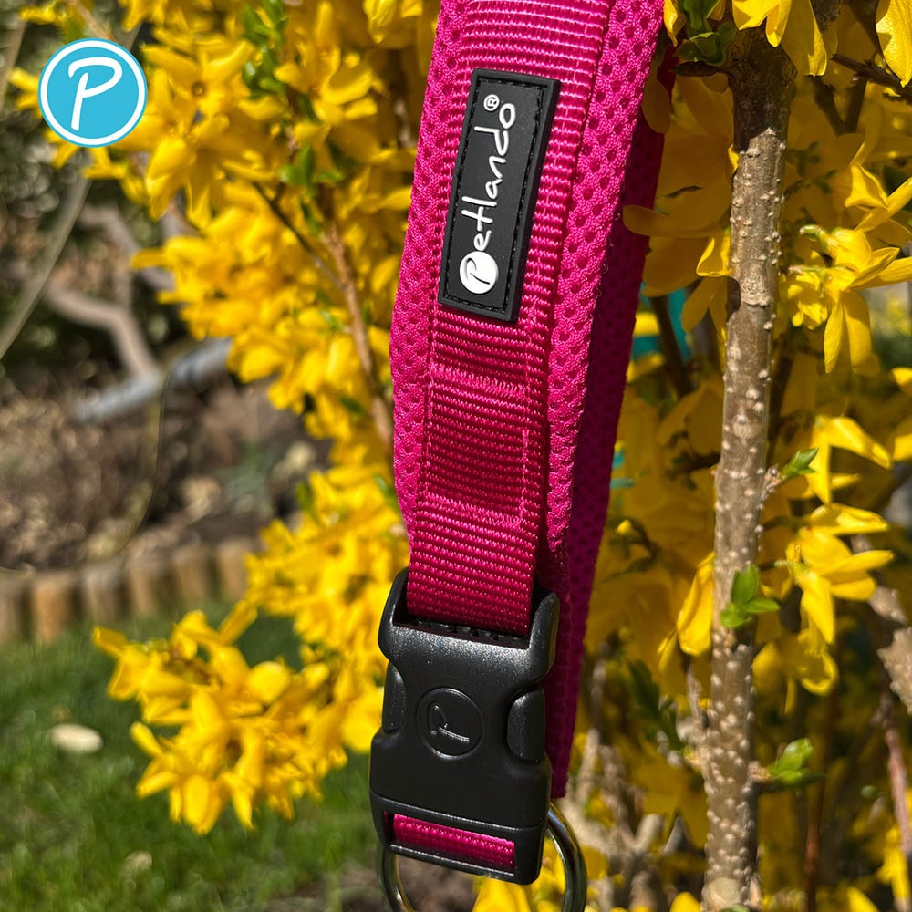 Petlando Mesh Halsband fuchsia_3