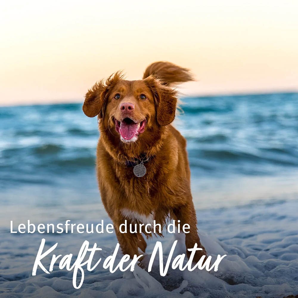 AniForte GelenkSchild_3