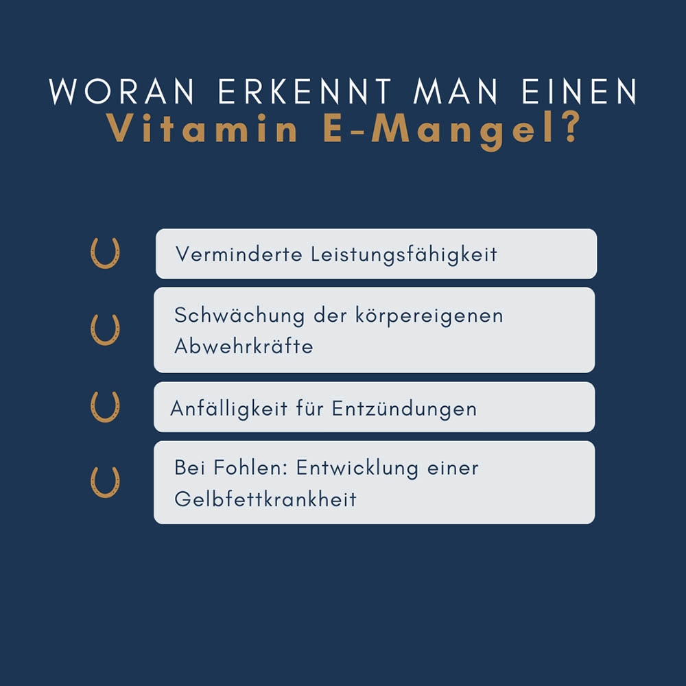 navalis orthosal Vitamin E Horse Pulver_3