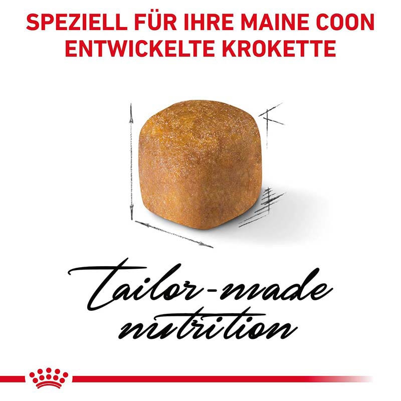 Royal Canin Maine Coon Trockenfutter für Kätzchen_5