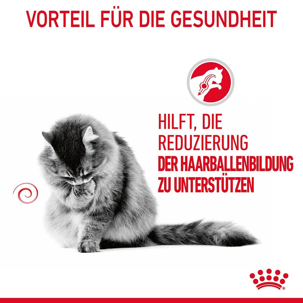 Royal Canin Hairball Care Nassfutter in Soße gegen Haarballenbildung_2