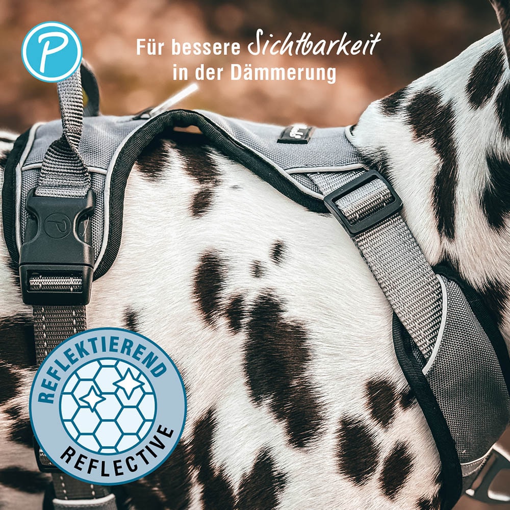 Petlando Outdoor Geschirr petrol_4