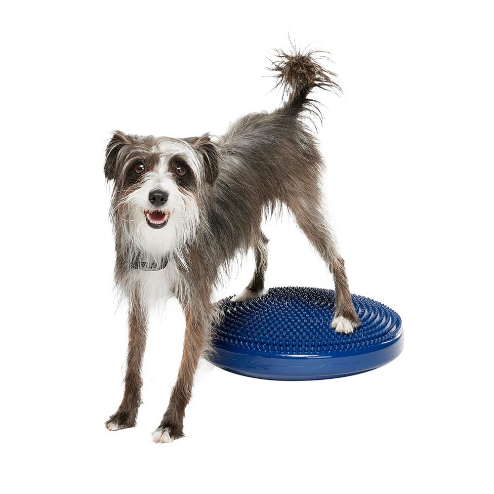 FitPaws Balance Disc_2